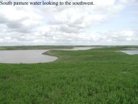 South pasture water looking to the southwest Image