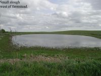 Small slough west of farmstead Image